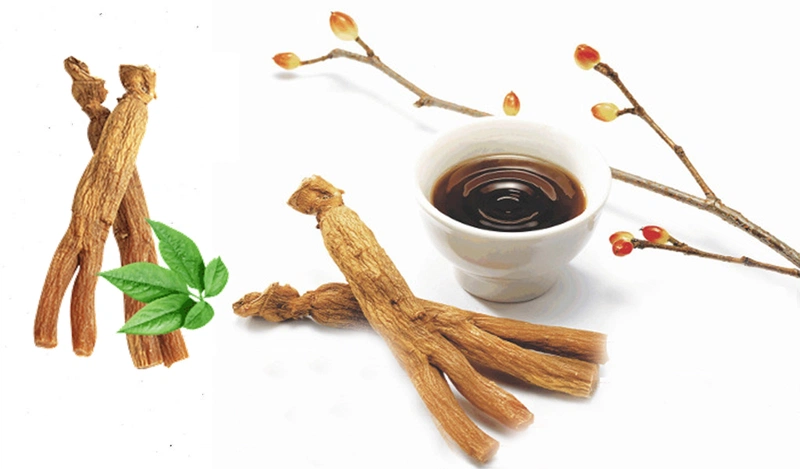 công bố hồng sâm nhập khẩu